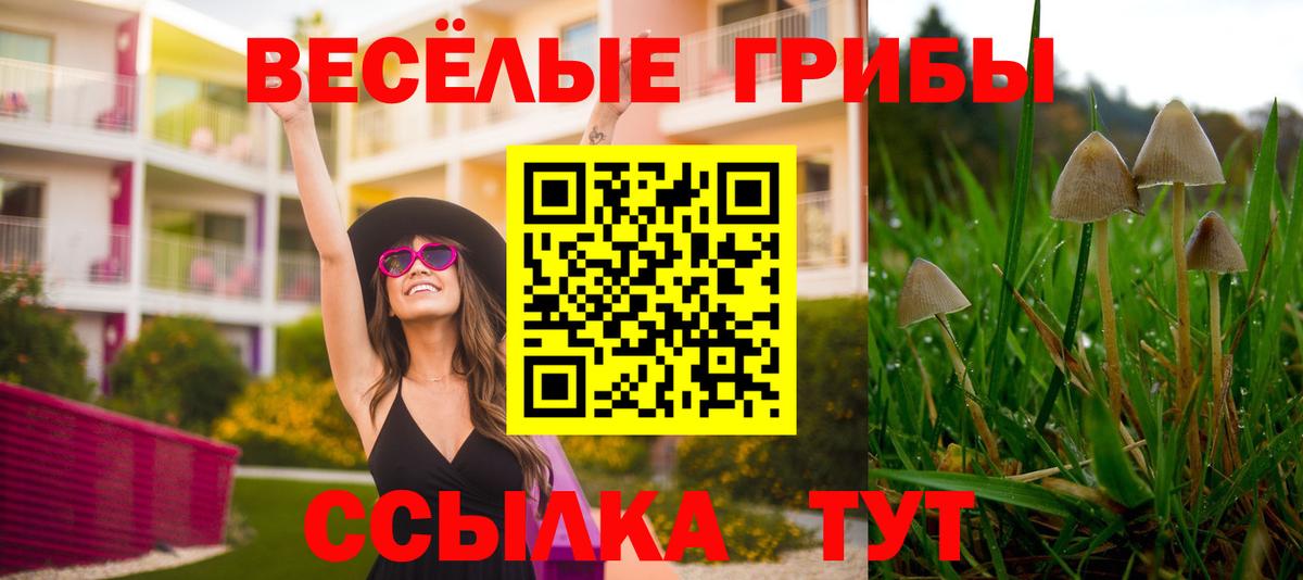 Псилоцибиновые грибы Magic Shrooms  Вход с VPN  Мытищи 